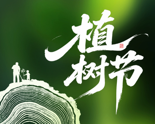 春泥护花处，自有栋梁生【3.15植树节特辑】