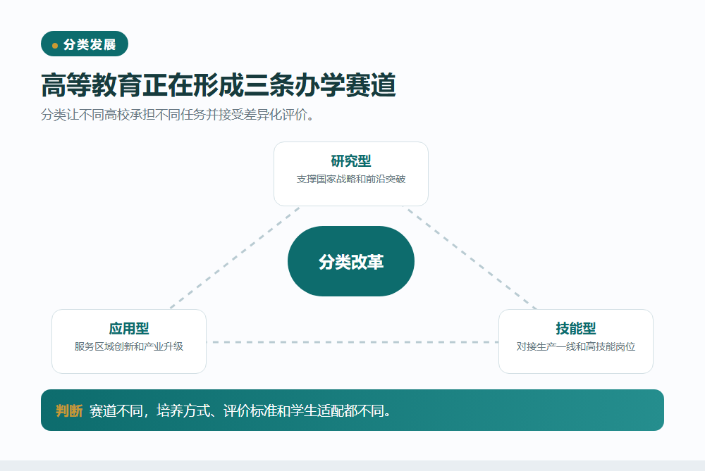 高等教育需要多条赛道信息图