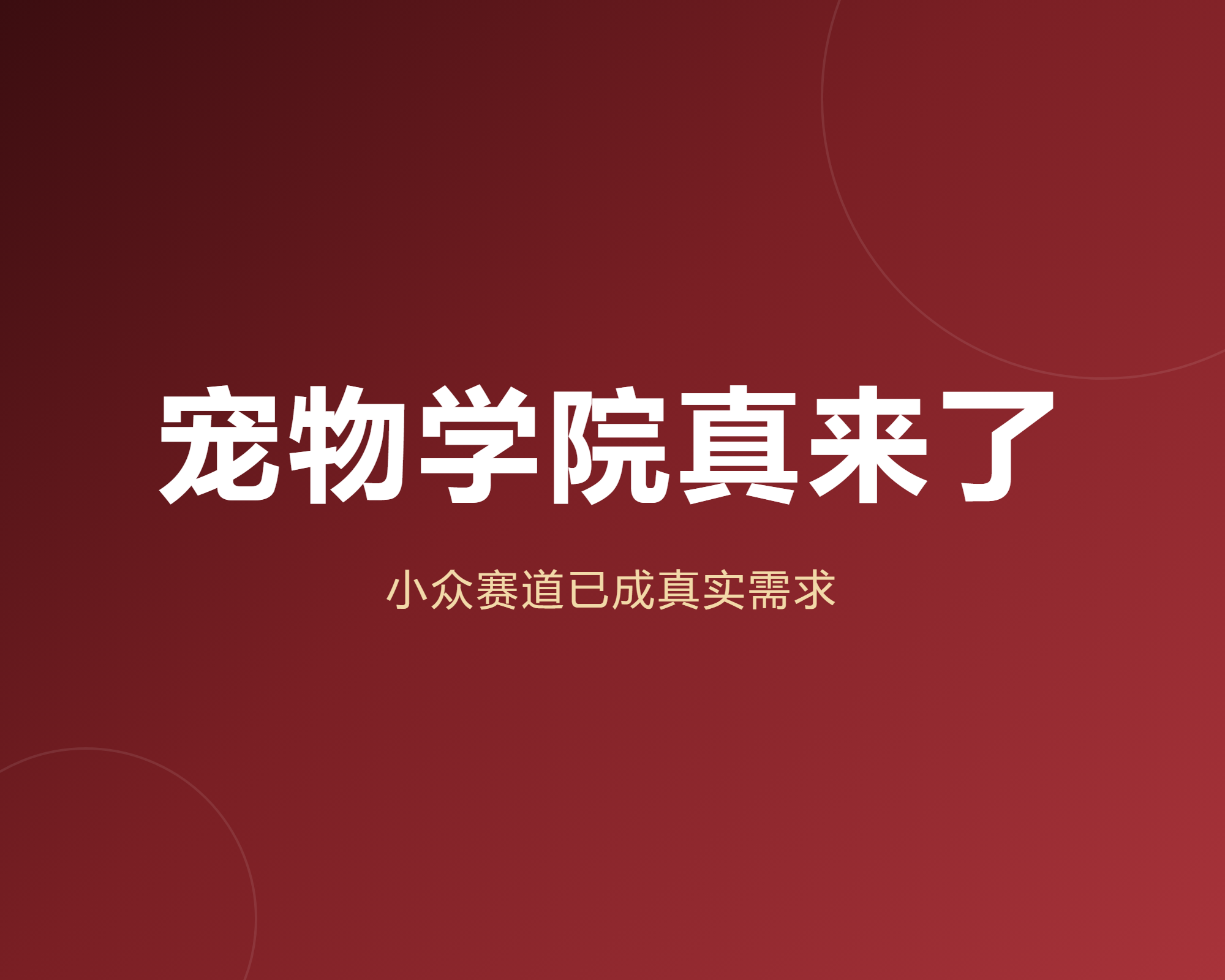 我把今年新开的宠物学院和伴侣动物专业数了一遍才敢说小众赛道已成真需求