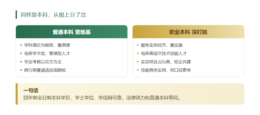 600分放弃名校选职业本科，这笔账到底怎么算